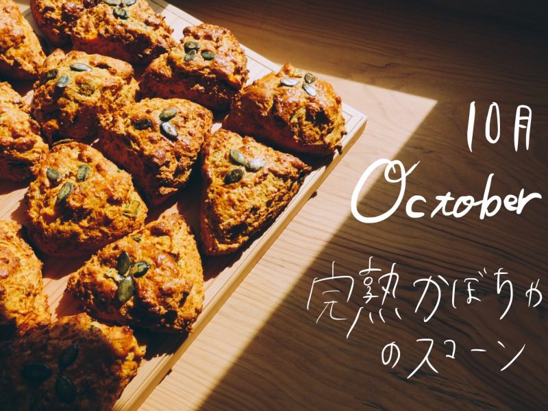 11月は盛りだくさん。 11月は盛りだくさん。
